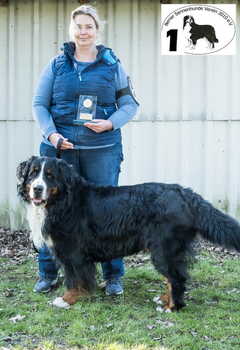 Lusion Winter Wonderland