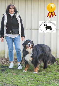 Schoenste H Wenja Berner vom Feulshof