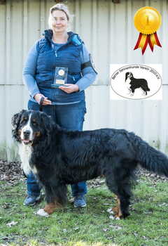 Schoenster R Lusion Winter Wonderland