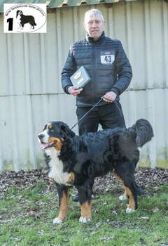 Simba Xaver vom Wangersimmerhof