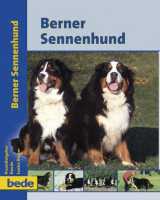 berner sennenhund   louise haarper